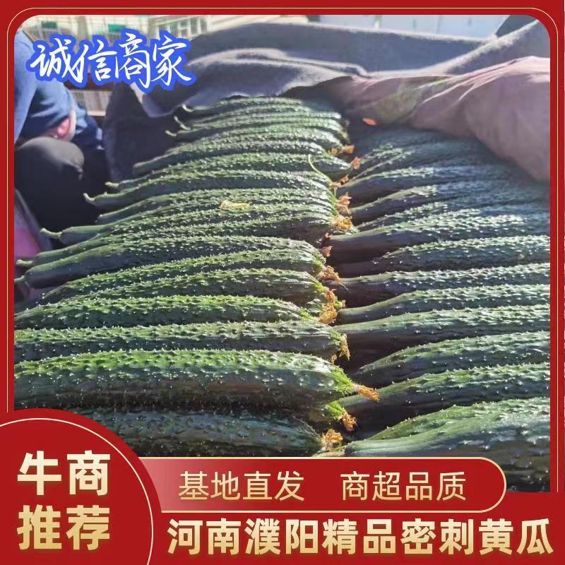 精品黄瓜