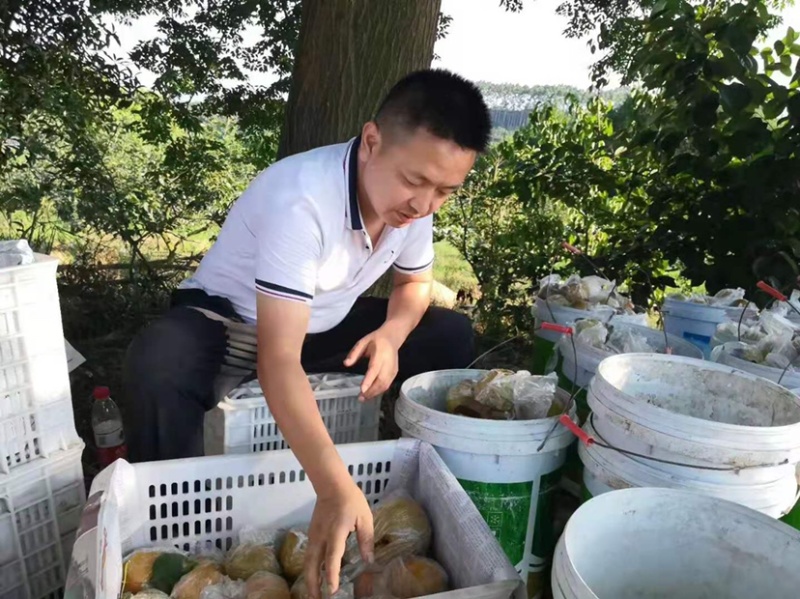 黄花梨不多咯。赚钱的老板赶紧预约
