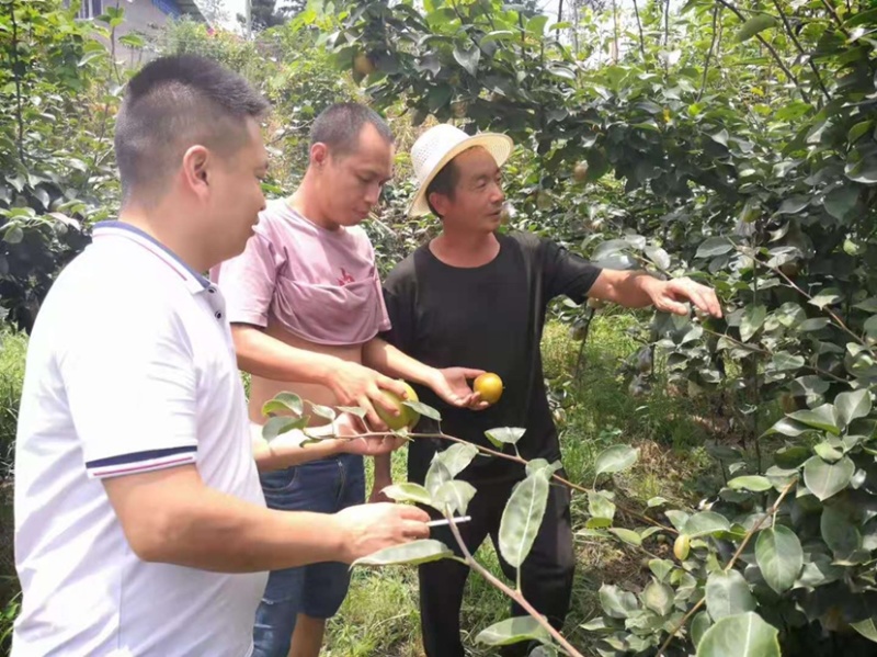 黄花梨不多咯。赚钱的老板赶紧预约