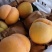 安徽优质黄金蜜桃,基地直供,汁多果甜,价格优惠,欢迎咨询!