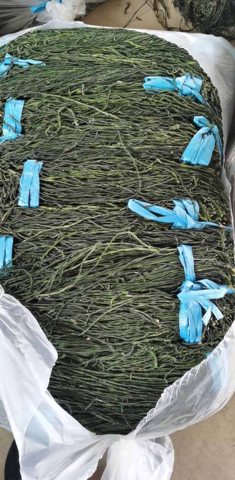 干豆角豇豆绿豆角