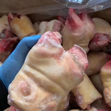 牛蹄厂家直销牛脚掌个头均匀保证质量全国冷藏运输