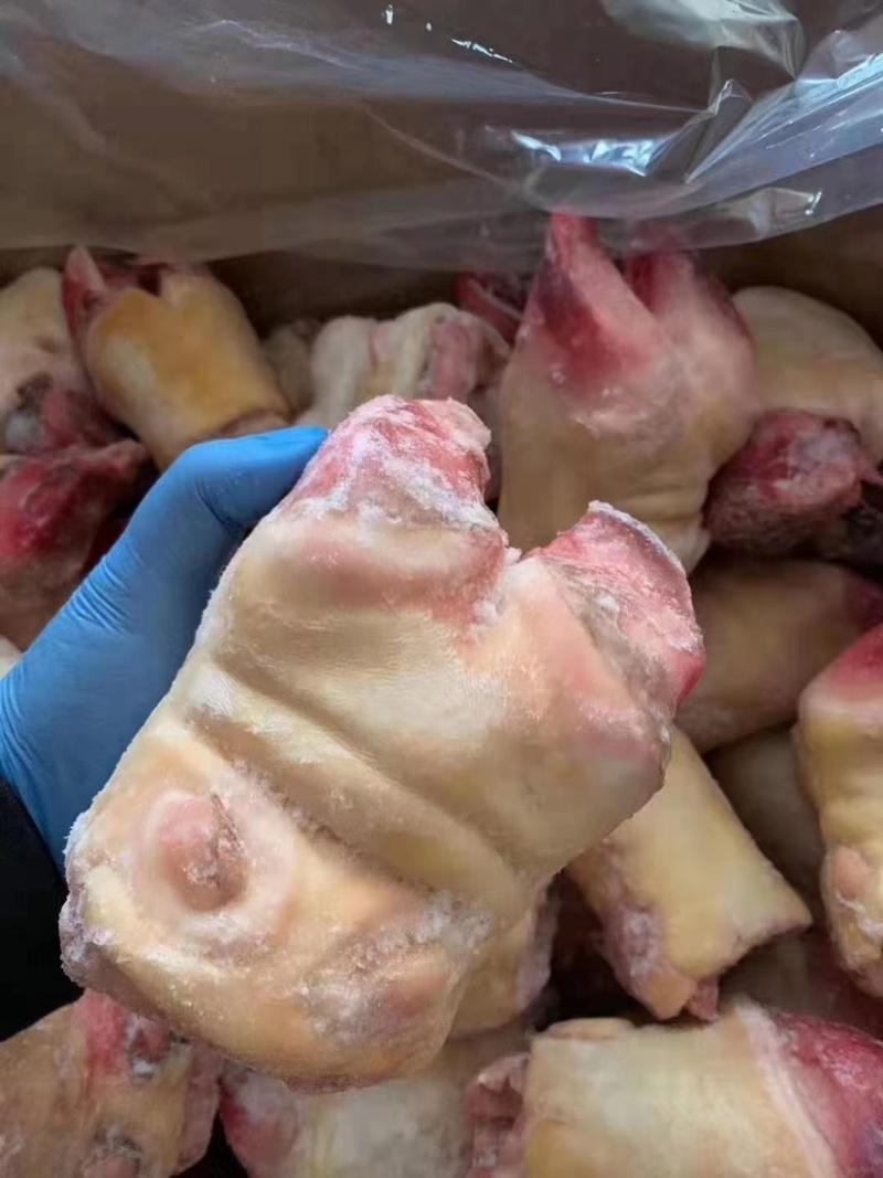 牛蹄厂家直销牛脚掌个头均匀保证质量全国冷藏运输