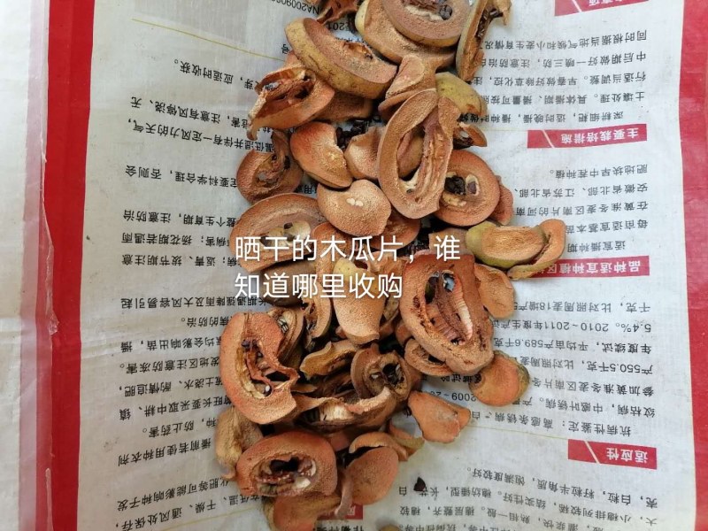 干木瓜片