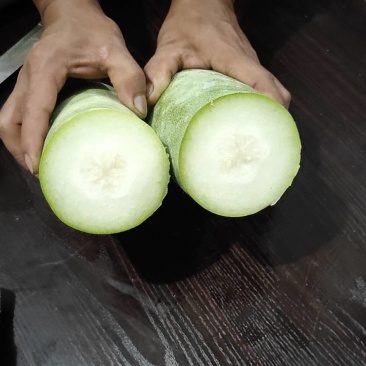 精品小棒冬瓜水果冬瓜口感好，品质好，大量上市欢迎咨询