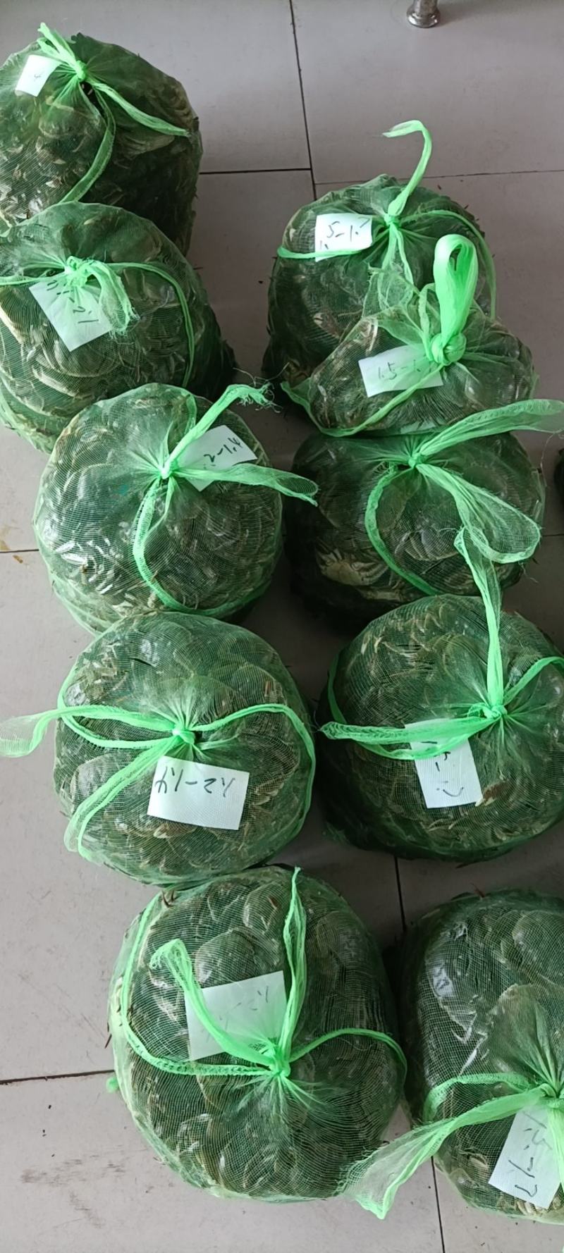2-4两母蟹精品大闸蟹成熟蟹正式上市，欢迎咨询选购