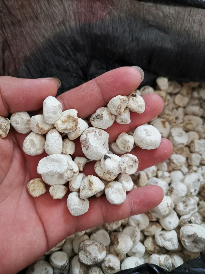 脱水珍珠马蹄，珍珠马蹄干，火锅煲汤炒菜用特产干货，菜干