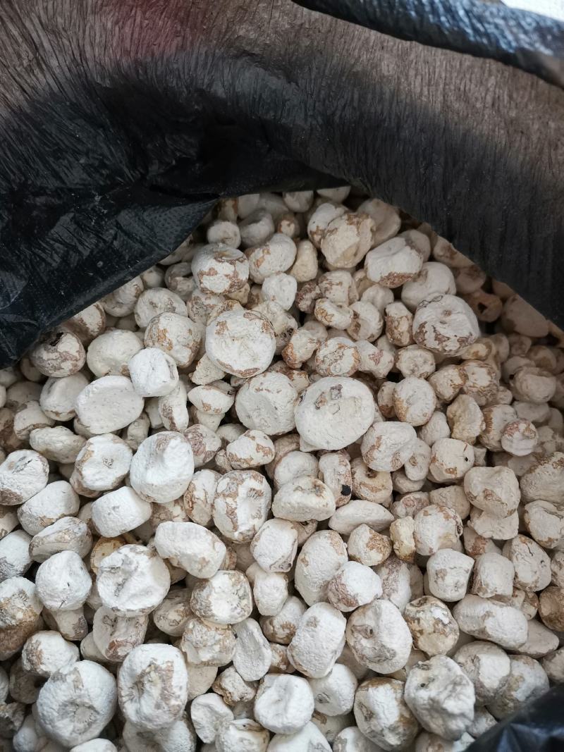 脱水珍珠马蹄，珍珠马蹄干，火锅煲汤炒菜用特产干货，菜干