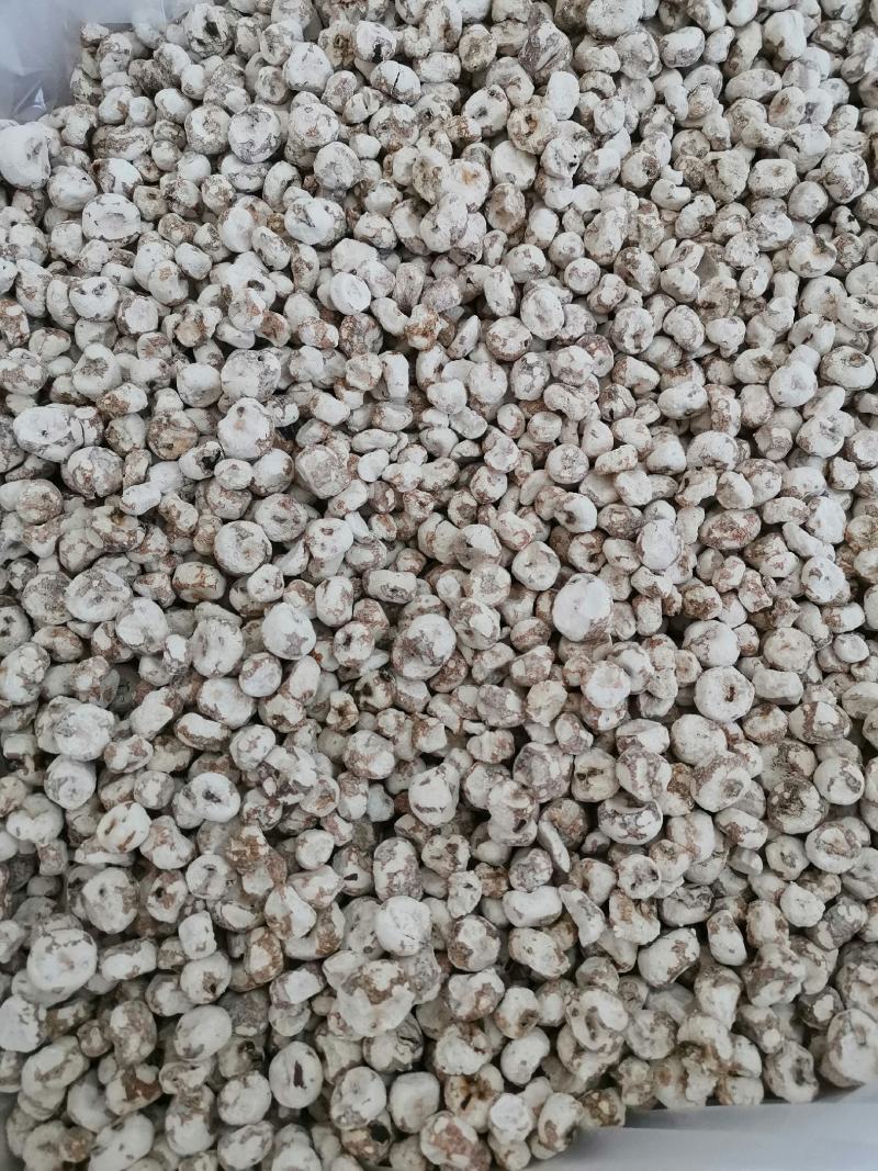 脱水珍珠马蹄，珍珠马蹄干，火锅煲汤炒菜用特产干货，菜干