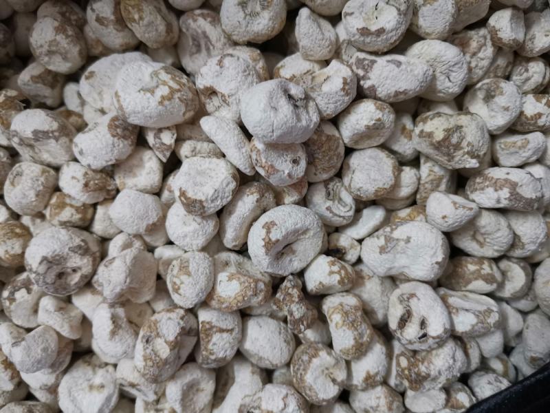 脱水珍珠马蹄，珍珠马蹄干，火锅煲汤炒菜用特产干货，菜干