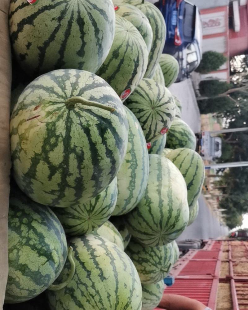 宁夏西瓜！！大量供应！！！！口感好！！！支持代发！！！！