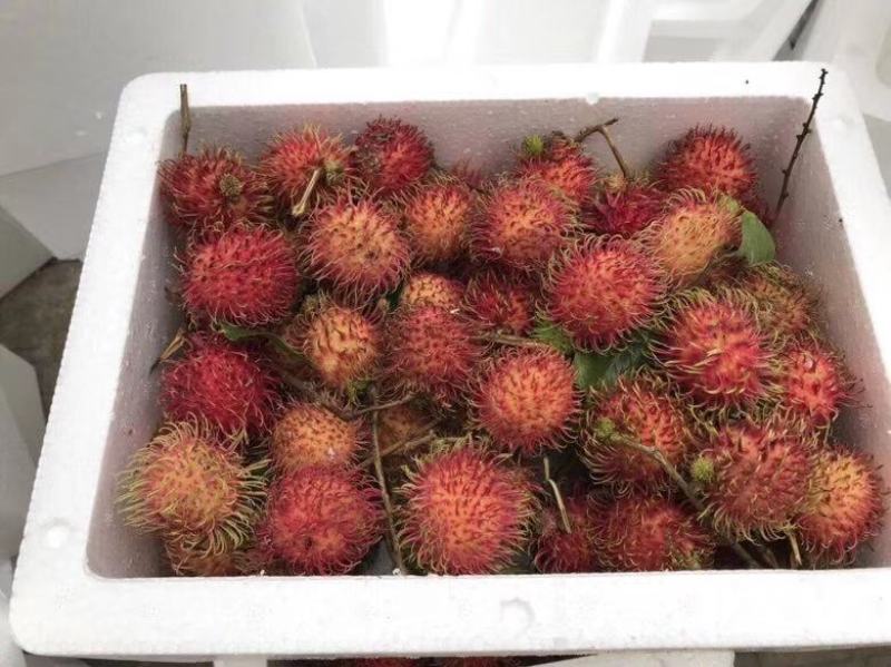 海南红毛丹水果毛荔枝5斤新鲜应季热带现摘现发