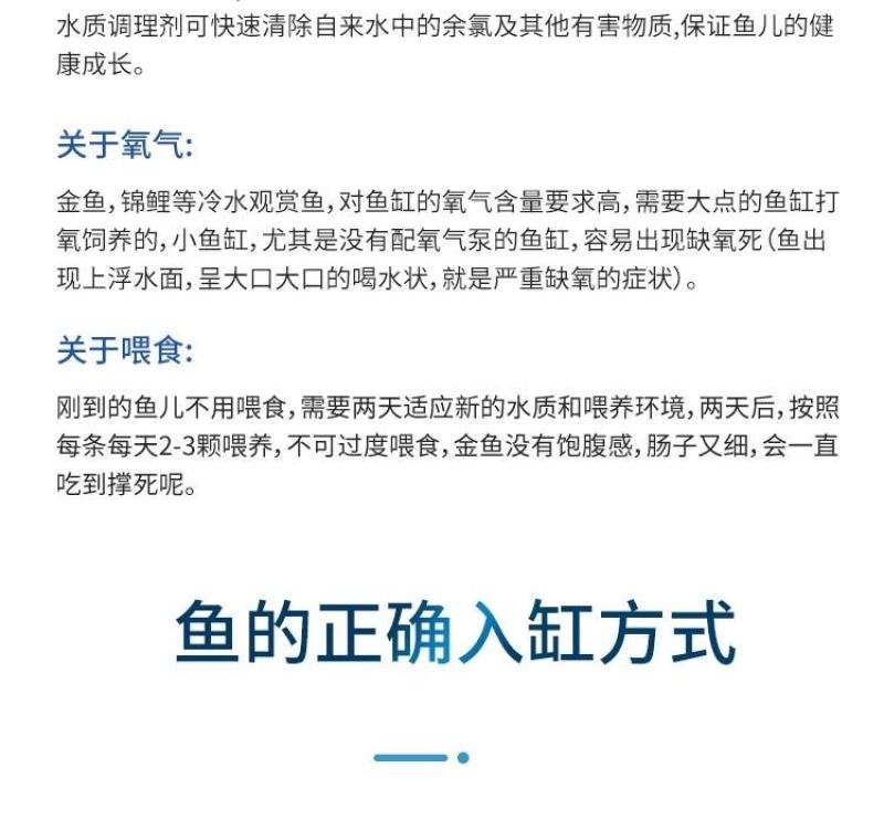 锦鲤鱼苗包精品锦鲤幼鱼苗观赏鱼日本锦鲤红白三色黄金鲤