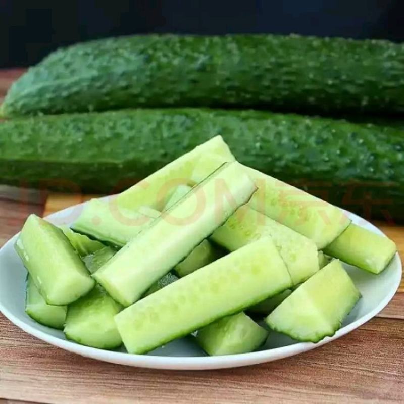 新鲜现摘刺黄瓜小黄瓜蔬菜当季水果青瓜脆甜当季