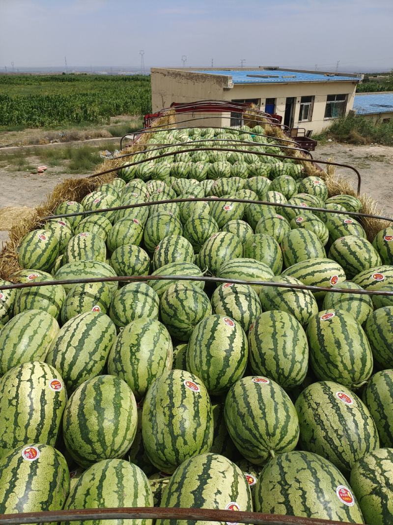 硒砂瓜个头大、甜度高产地直发量大从优欢迎咨询合作