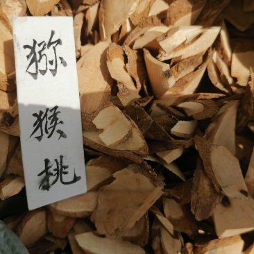 夜关门贵州野生中草药新货草药羊蹄风猪腰藤大夜关门片
