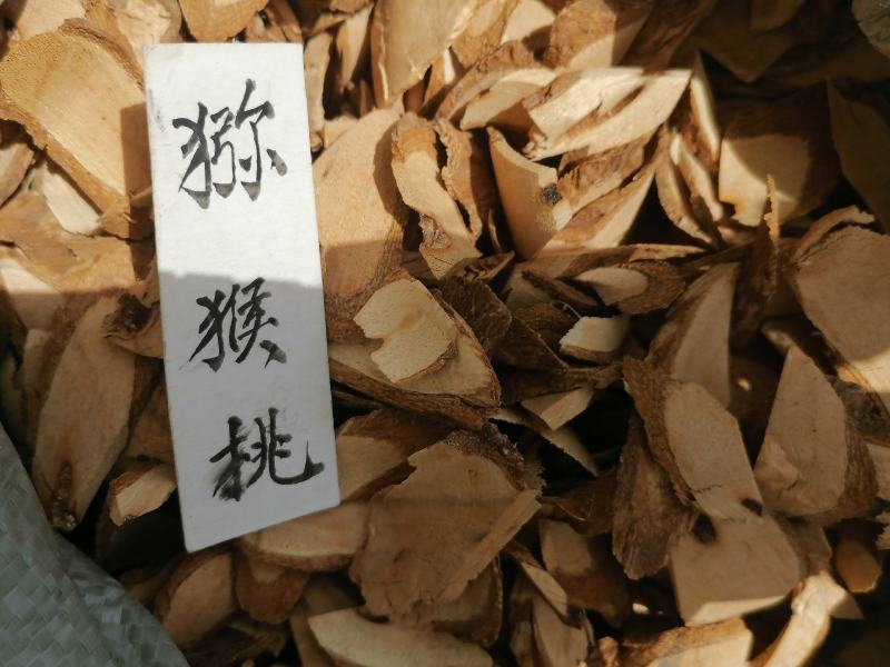 夜关门贵州野生中草药新货草药羊蹄风猪腰藤大夜关门片