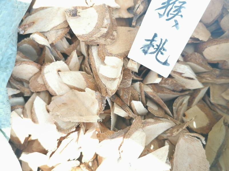 夜关门贵州野生中草药新货草药羊蹄风猪腰藤大夜关门片