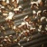 怀孕白玉蜗牛临产种蜗牛,送养殖资料养殖孵化技术,养殖场直