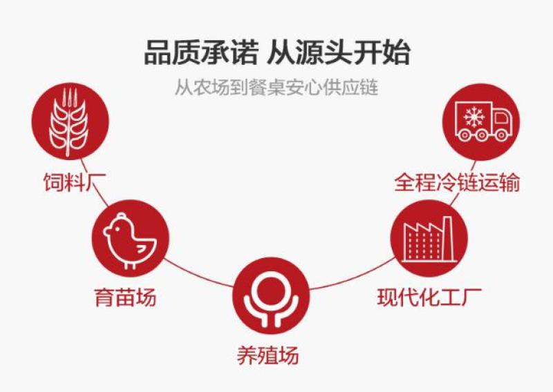 正大二级品漏骨翅中