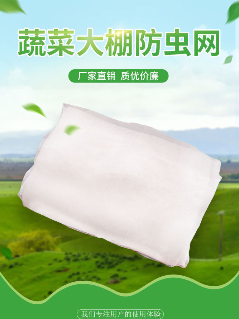 优质防虫网40目60目80目昆虫网大棚网防鸟网