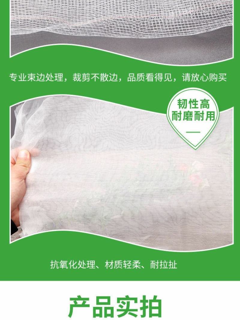 优质防虫网40目60目80目昆虫网大棚网防鸟网
