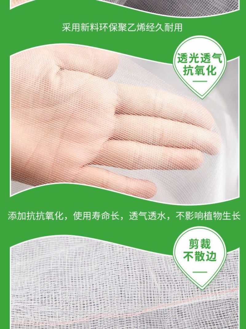 优质防虫网40目60目80目昆虫网大棚网防鸟网