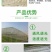 优质防虫网40目60目80目昆虫网大棚网防鸟网