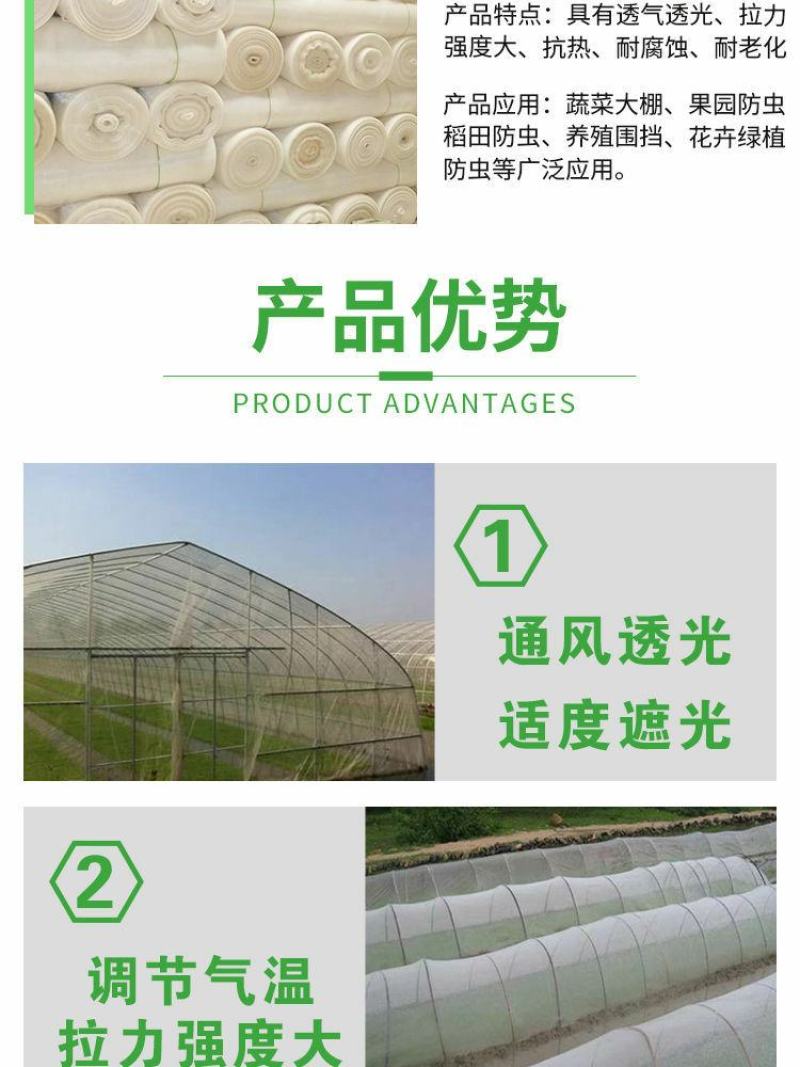 优质防虫网40目60目80目昆虫网大棚网防鸟网