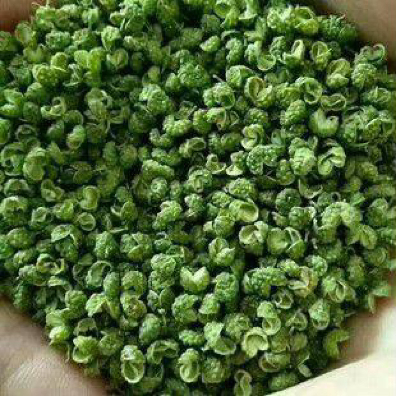自产精品青麻椒（产地直销）