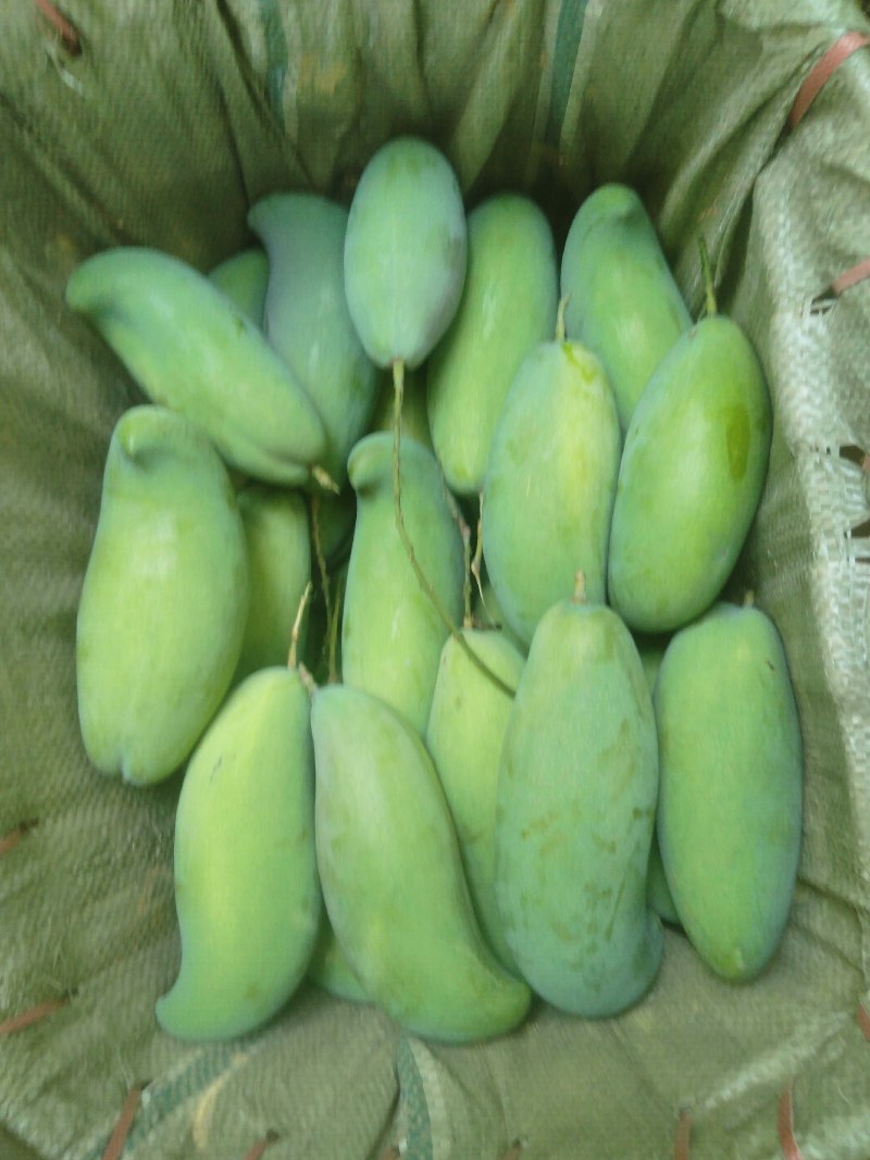 热带水果