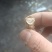 大别山纯野生金蝉花，品质高，产地直发，多规格大货长年供应