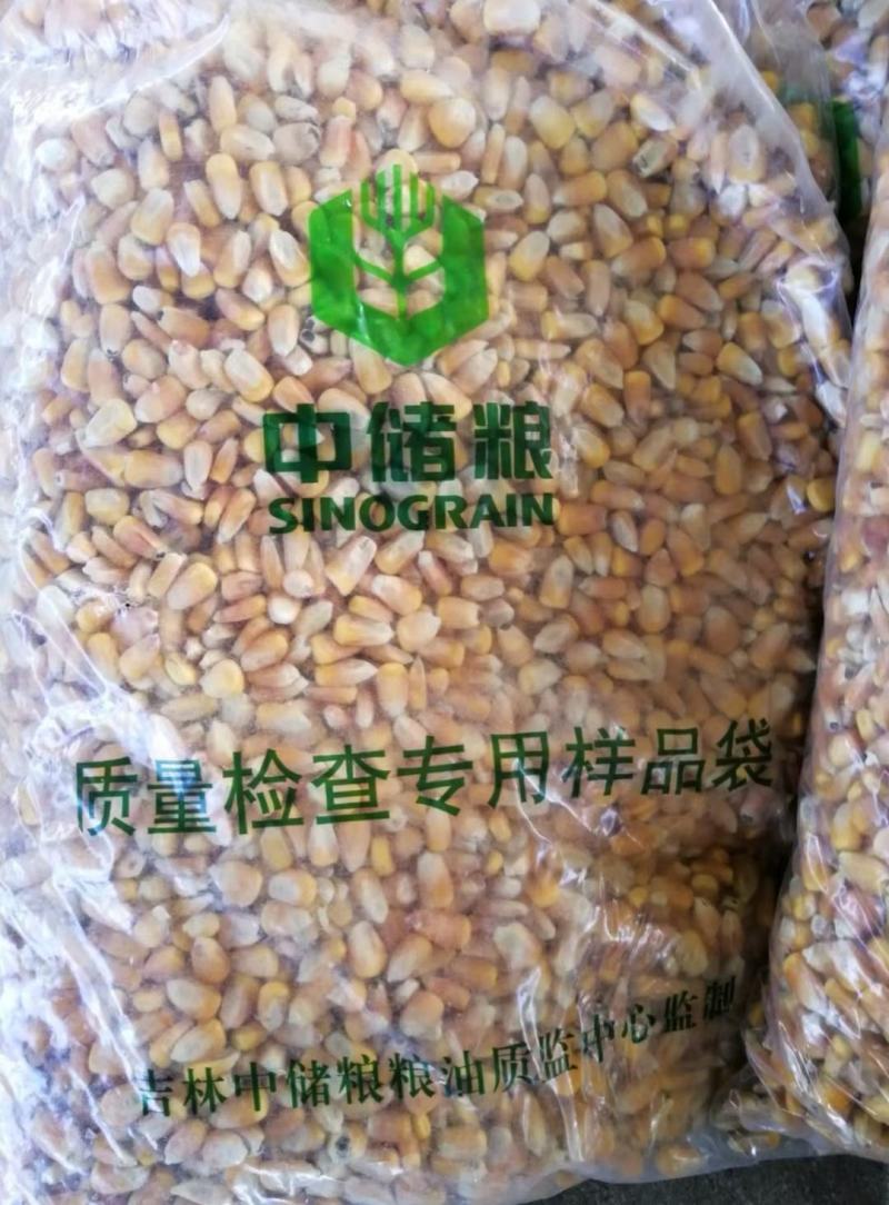 中储粮二等干玉米