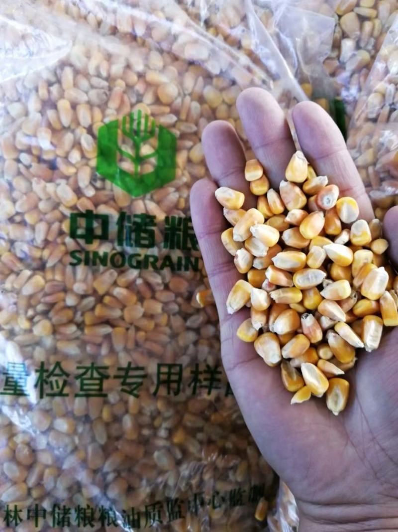 中储粮二等干玉米