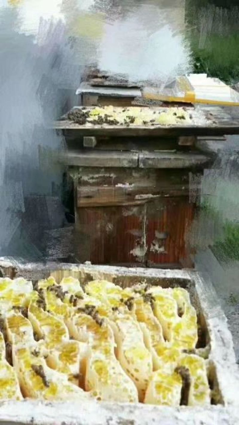 高山土蜂蜜（假一赔十）