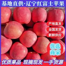 辽宁苹果，辽宁红富士苹果，一手货源，货源充足，量大从优