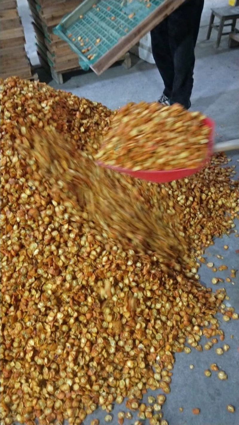苦瓜片，金桔片，柚子片，
