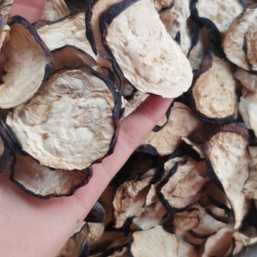 精品茄子片，茄子条