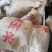 广东酱油渣豆渣,营养好易吸收,猪牛羊好饲料,质优价廉