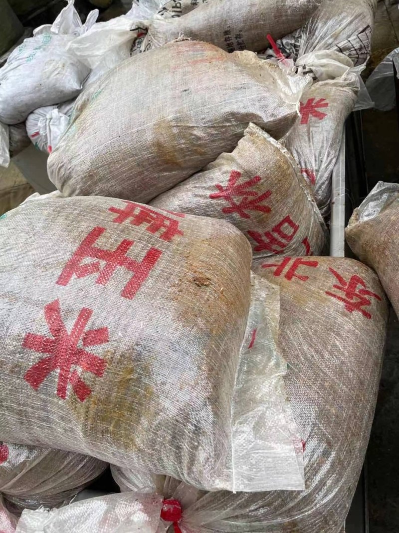 广东酱油渣豆渣，营养好易吸收，猪牛羊好饲料，质优价廉