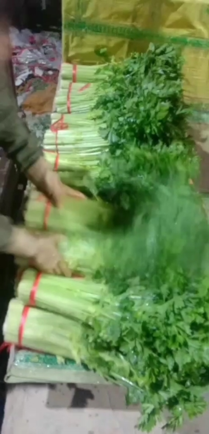 毛芹