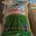 赤峰明绿豆4.0规格商品豆