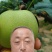 山东聊城冠县占地桃树，梨树，果树，处理中，绿化树基地