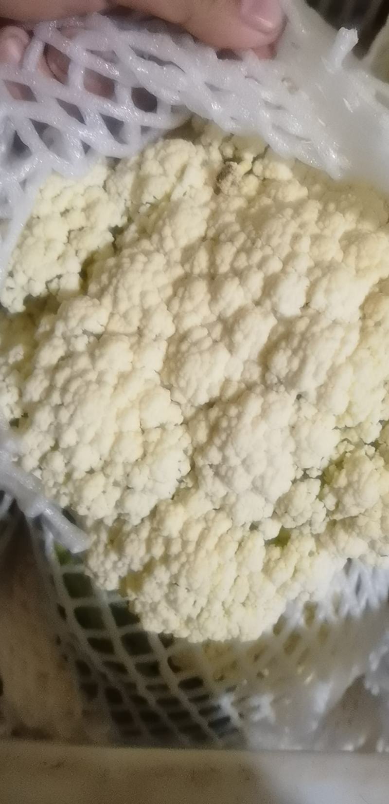 散花已经上市。精品货。通货都有。价格合理。