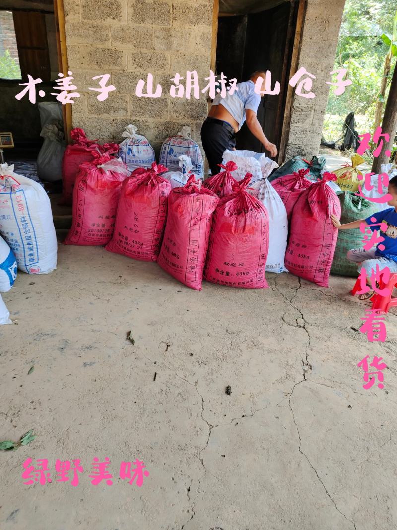 山胡椒新鲜木姜子山仓子现摘现发大量供应量大价优