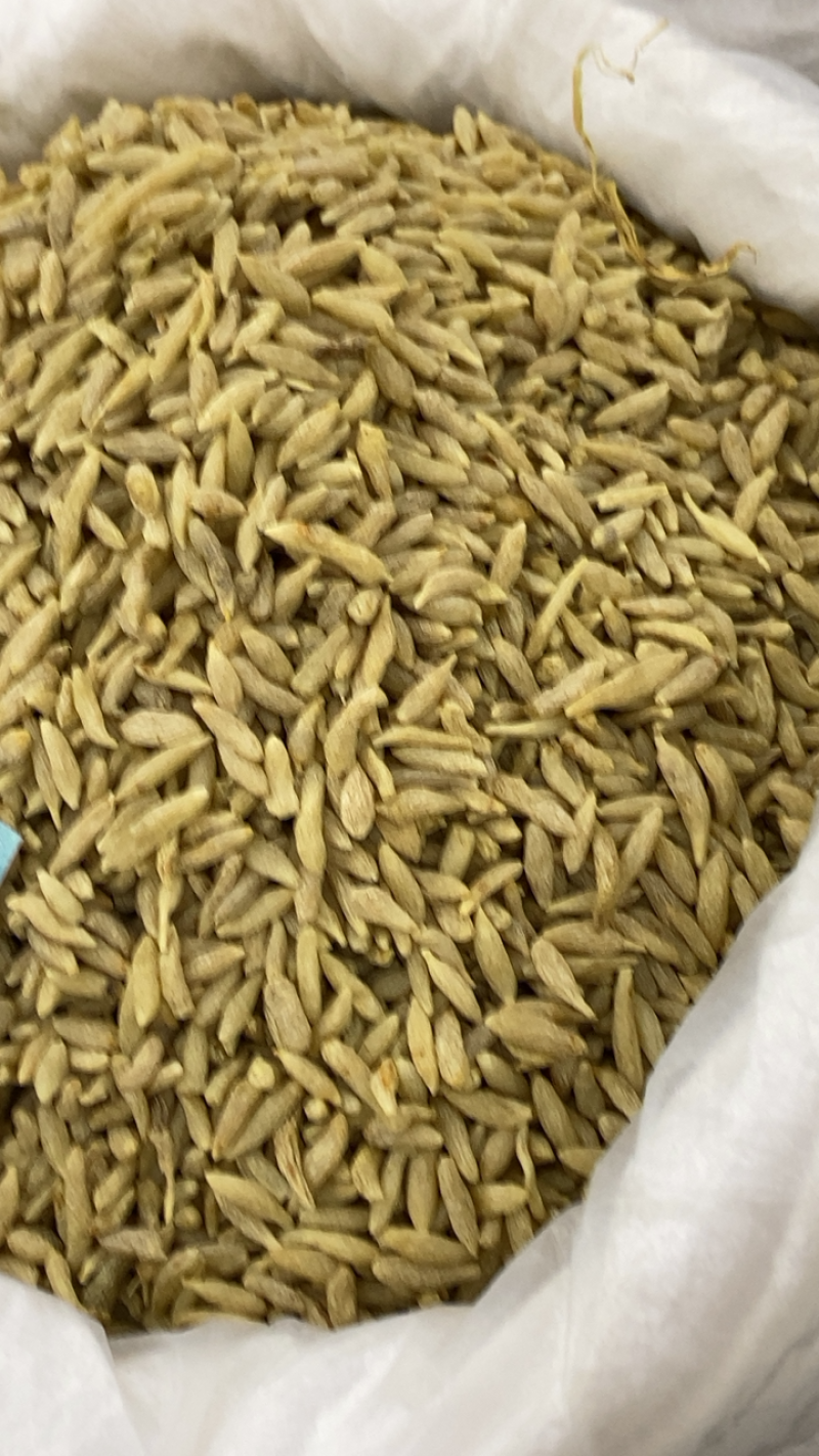 川麦冬货源充足物美价优，欢迎您的选购大量更优惠哦