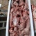 清真新鲜兔肉