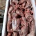 清真新鲜兔肉
