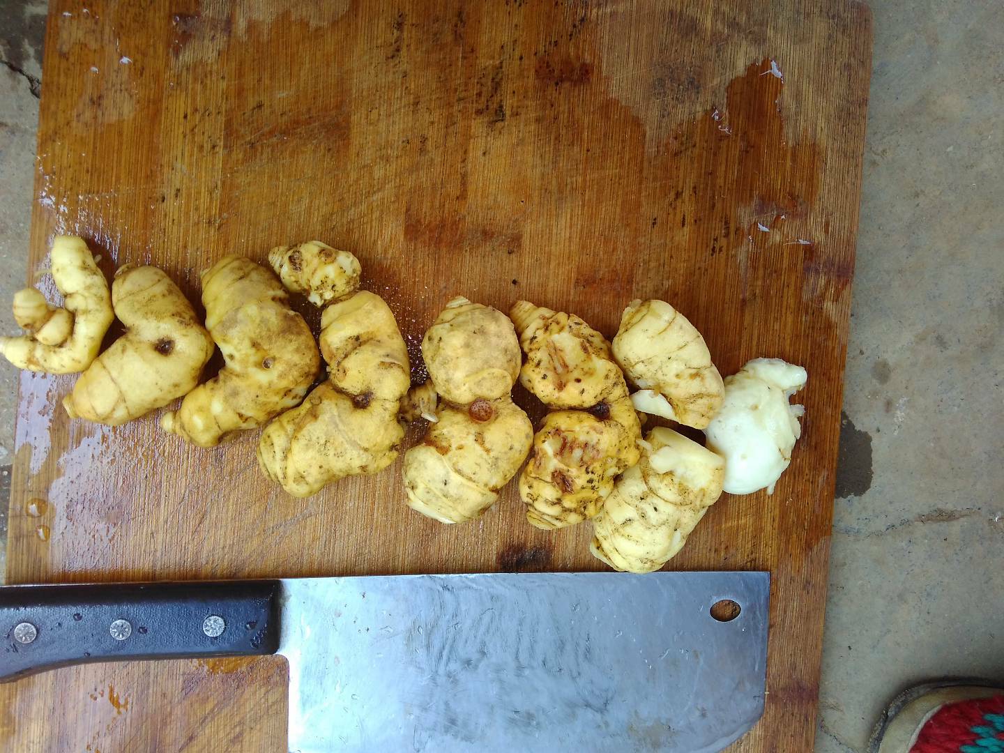 白术与熟地黄的食材处理过程