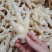 无骨凤爪脱骨鸡爪无骨鸡爪冻品鸡爪无骨鸡爪冻品冷冻无骨鸡爪